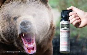 bear spray222.png